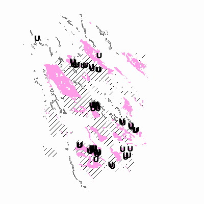 Export Image